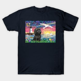 At the Shore with an Adorable Black Shih Tzu T-Shirt